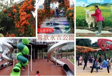 鶯歌永吉公園 | 新北免費親子公園4600坪/炮仗花/溜滑梯/3D立體彩繪