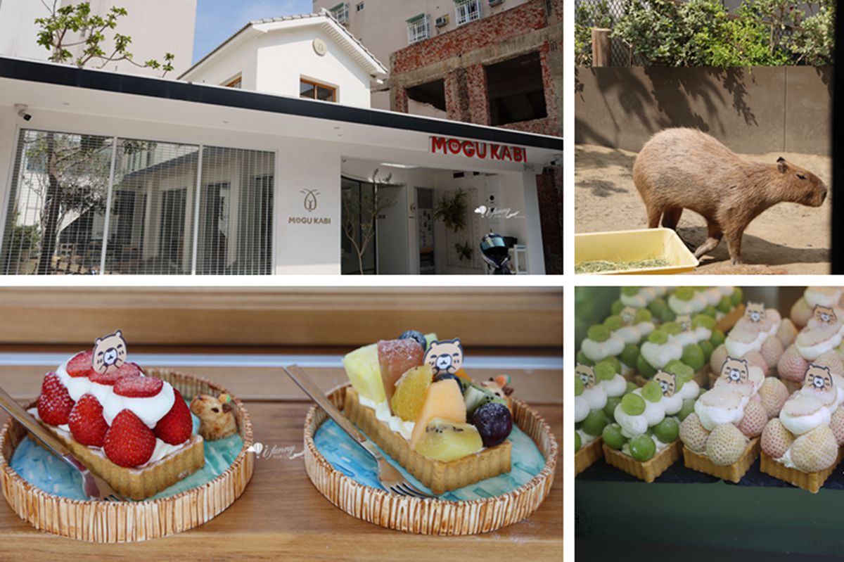 台南東區 | MOGU KABI豆塔專賣店 純白系建築與可愛水豚還有美味水果塔