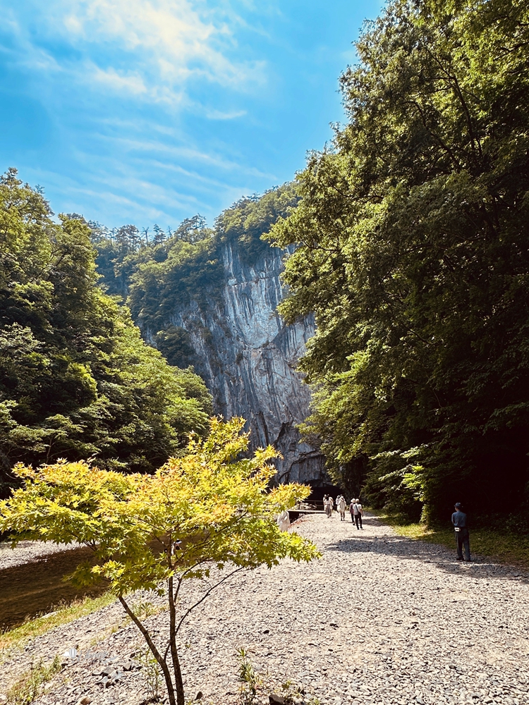 日本東北岩手 | 貎鼻溪 乘舟遊 日本百景 幽谷木舟百年傳承 交通方式 - ifunny