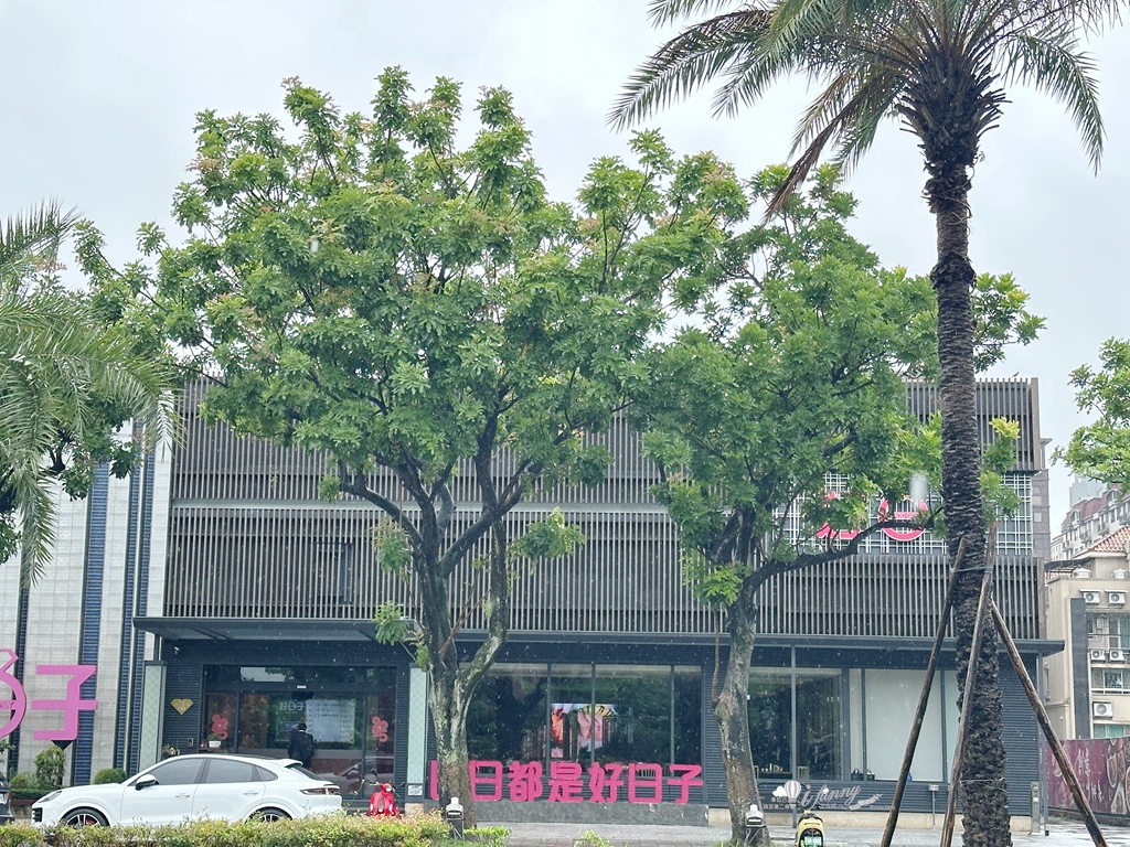 林口餐廳推薦| 好日子餐廳 海鮮料理/特色小吃/婚宴會館/商務宴客/家庭聚餐 - ifunny 林口餐廳推薦| 好日子餐廳 海鮮料理/特色小吃/婚宴會館/商務宴客/家庭聚餐 - ifunny