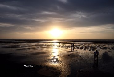 苗栗景點 | 苑裡出水沙灘海堤 退潮後沙灘地適合踩沙 夕陽欣賞