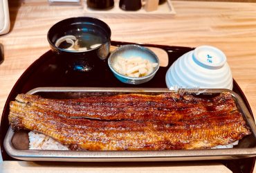 成田機場美食 | 第二航廈JAPAN FOOD HALL うなぎ四代目菊かわ鰻魚專門店 必吃招牌蒲燒一本重