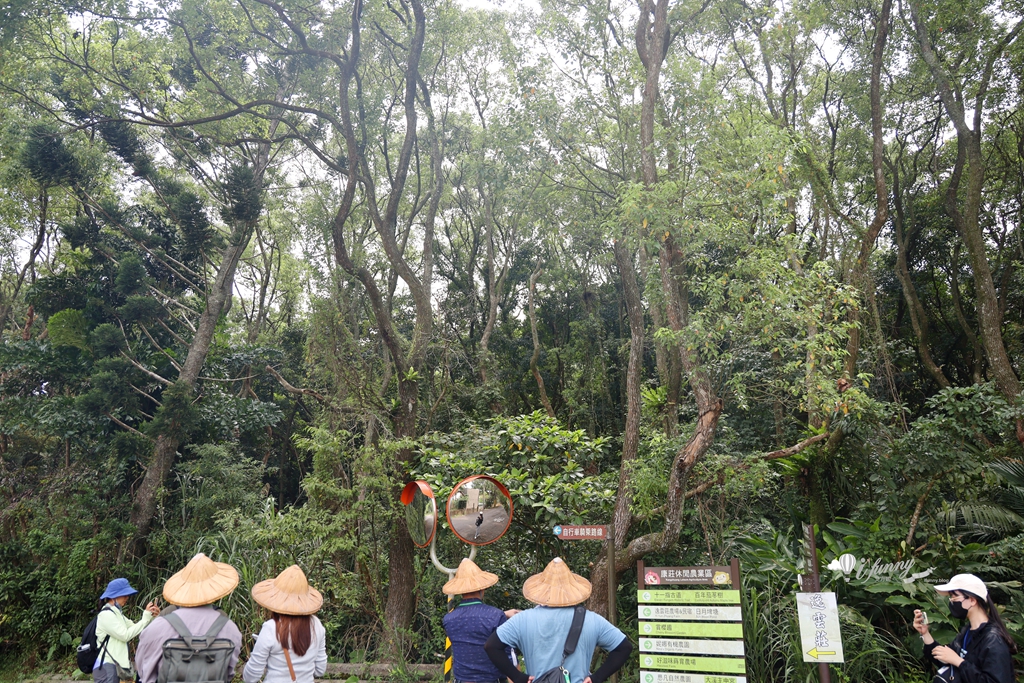 大溪旅遊 | 慢遊內柵 走讀農村風景詩 大地餐桌/三和木藝工作坊手作體驗/思凡自然農園青醬DIY - ifunny