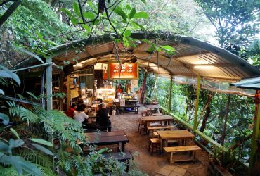 貓空咖啡 | 小日子lazyday 森林系秘境咖啡廳