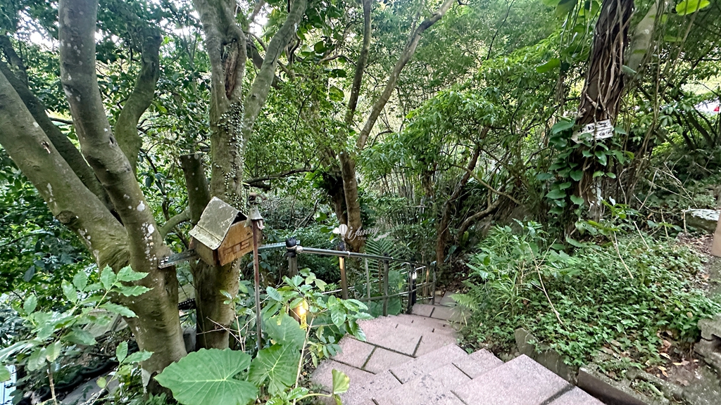 貓空咖啡 | 小日子lazyday 森林系秘境咖啡廳 - ifunny