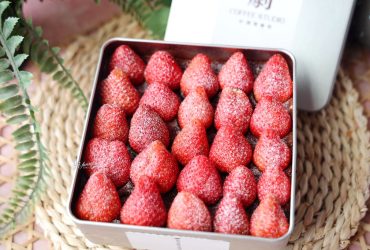 西門站 | 4F劇場咖啡 中山堂古蹟裡 冬季限定 滿滿25顆草莓的提拉米蘇