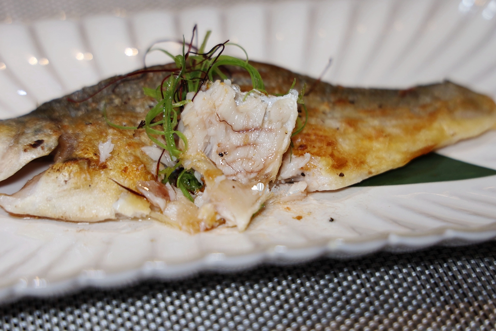 桃園青埔美食 | 海童鐵板料亭 1280元無菜單料理 領航站聚餐推薦 - ifunny