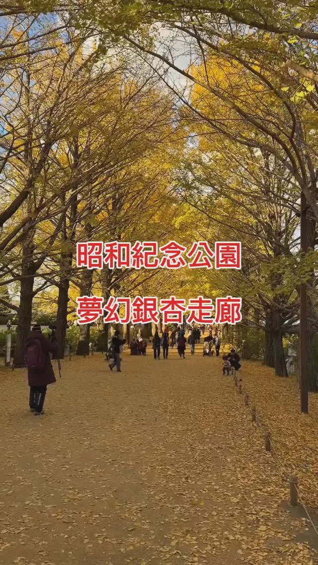 國營昭和紀念公園是橫跨日本東京都的立川市與昭島市之間的國營公園，1983年10月26日開業，以紀念昭和天皇在位五十周年。
這次為了銀杏而來，美景真的令人讚嘆！
2024年的點燈明天12/1即將結束。慶幸這次的旅程，令自己得到滿滿的能量。
📍昭和紀念公園
🏡3173 Midoricho, Tachikawa, Tokyo 190-0014
🕰️08:30~16:30
🚆JR中央線立川站 青梅線西立川站
#日本旅行 #銀杏 #點燈 #昭和紀念公園 #銀杏祭 #東京 #日本獨旅 #艾方妮玩日本 #艾方妮愛旅行