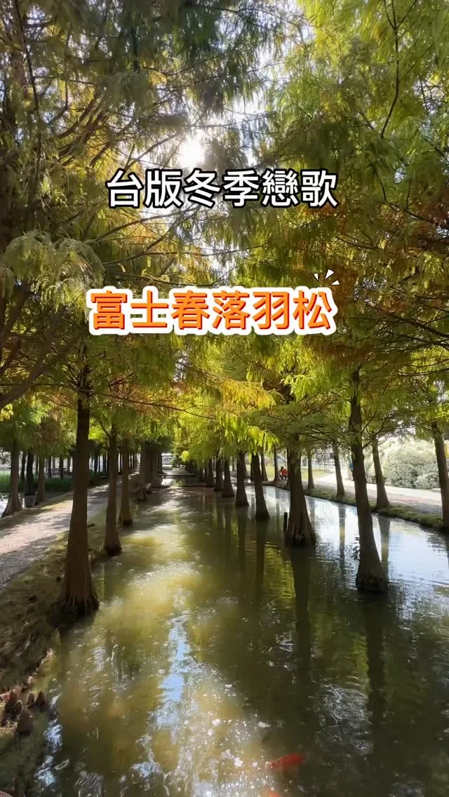 雲林超人氣落羽松秘境虎尾堀頭28富士春，隱身在虎尾堀頭社區的夢幻森林，佔地0.2公頃，擁有超過500棵的落羽松，粉橘火紅的園區，宛如台版冬季戀歌。設置了天國的階梯，就像可以撫摸到天空一般。秋冬季節，還能見到夢幻的白雪木，更有親近梅花小鹿、餵魚等親子活動。

📍富士春落羽松-堀頭28秘境
🏡雲林縣虎尾鎮28號
📞0928 391 528
🕰️08:00~18:00
#富士春 #落羽松 #虎尾景點 #虎尾落羽松 #梅花鹿