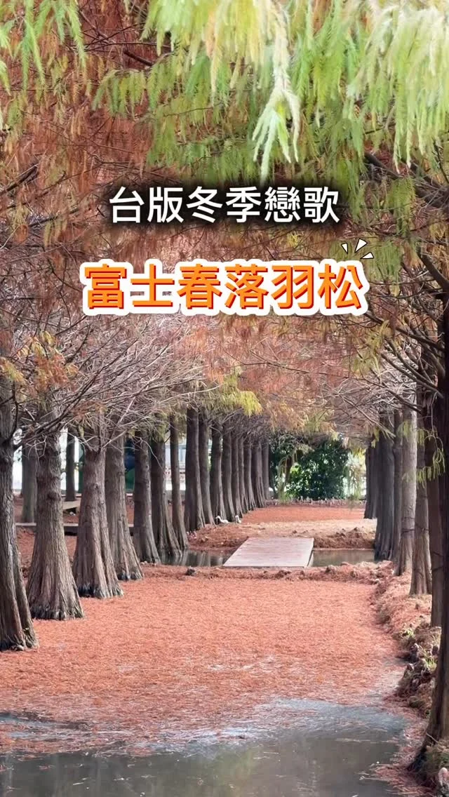 雲林超人氣落羽松秘境虎尾堀頭28富士春，隱身在虎尾堀頭社區的夢幻森林，佔地0.2公頃，擁有超過500棵的落羽松，粉橘火紅的園區，宛如台版冬季戀歌。設置了天國的階梯，就像可以撫摸到天空一般。秋冬季節，還能見到夢幻的白雪木，更有親近梅花小鹿、餵魚等親子活動。
拍攝日期2026/1/26

📍富士春落羽松-堀頭28秘境
🏡雲林縣虎尾鎮28號
📞0928 391 528
🕰️08:00~18:00
#富士春 #落羽松 #虎尾景點 #虎尾落羽松 #梅花鹿