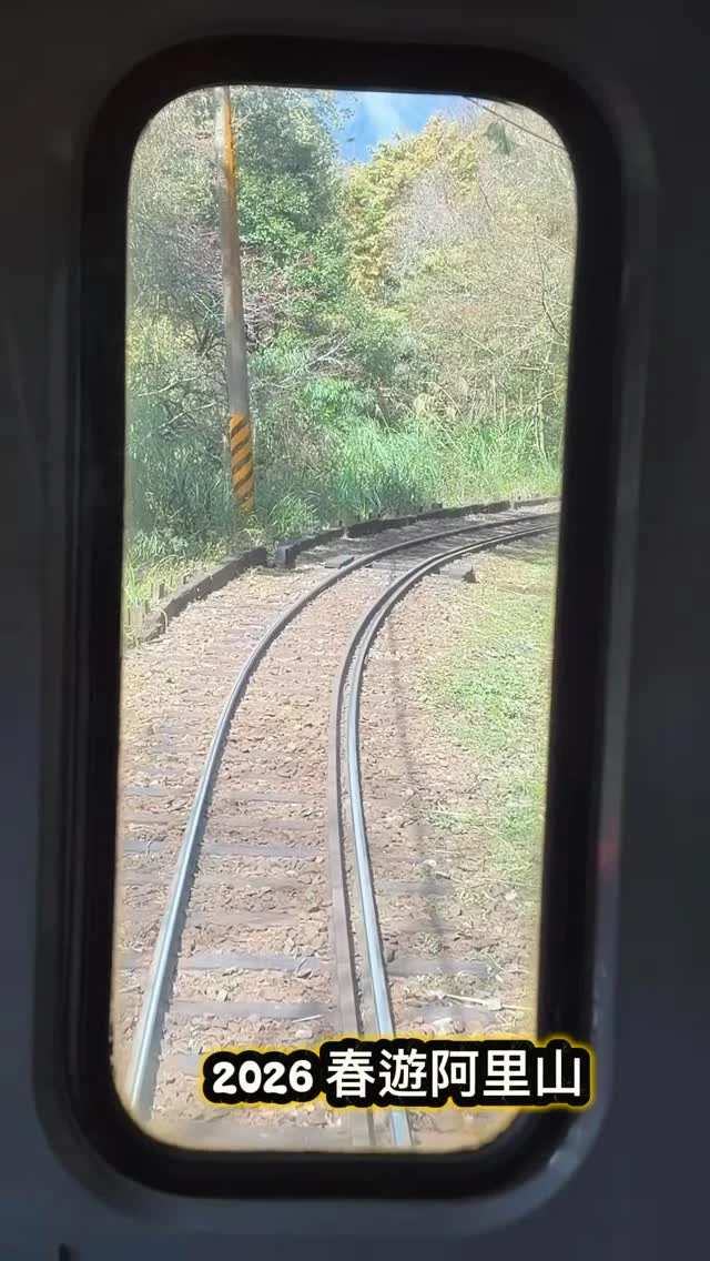 年初三久違阿里山森林
#走春 #阿里山 #森林浴