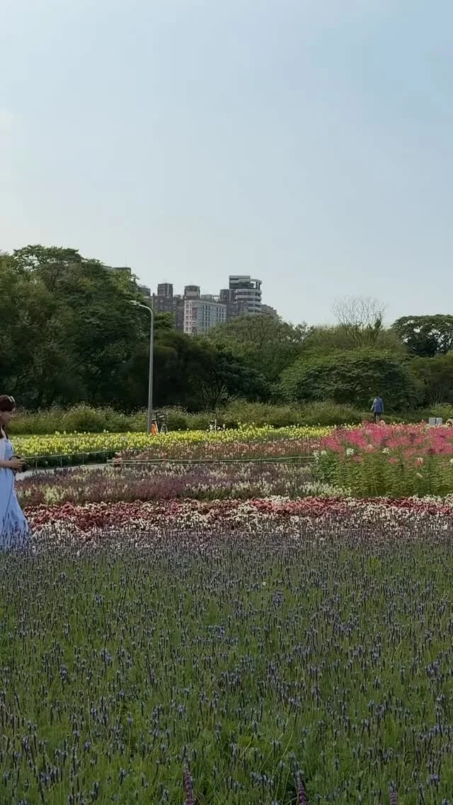 📍古亭河濱公園花海
2026年花海規模達到約 3,000 坪，以「童話繪本世界」為主題，展出約 24 萬株草花。今年以紫色鼠尾草、藍色醉蝶花與繽紛波斯菊為主軸，呈現細膩的漸層色調。其他常見花種包括粉蝶花、薰衣草、一串紫、金魚草及火焰雞冠花等。
📸
現場規劃了大型相機裝置、白色小屋、船型眺望台以及浪漫的愛心拱門，非常適合打卡拍照。
🕰️
主要花期為 1 月中旬至 3 月中下旬，快把握時閤來玩。

🚆
公館站4 號出口步行約 17 分鐘，或租借 Ubike 騎乘約 5 分鐘抵達。
台電大樓站5 號出口步行約 9 分鐘，經「跨堤自行車道觀景平臺」進入公園。

#古亭花海 #台北花季 #古亭河濱公園